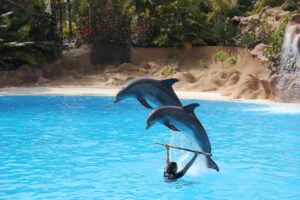 Loro Parque