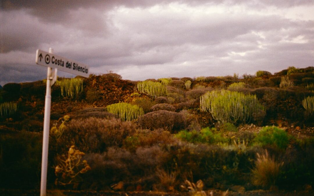 Los Cristianos